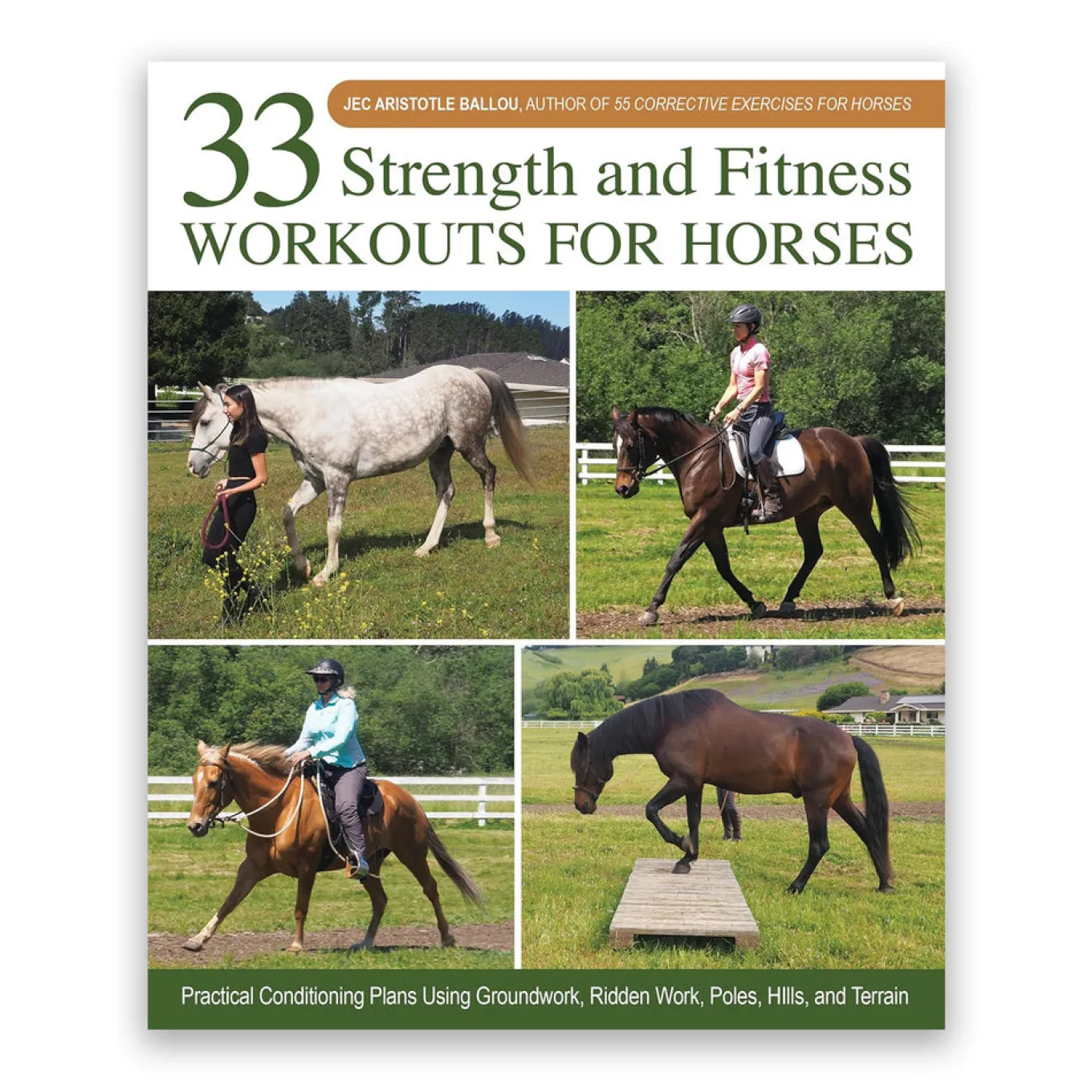 33 Strength and Fitness Workouts for Horses