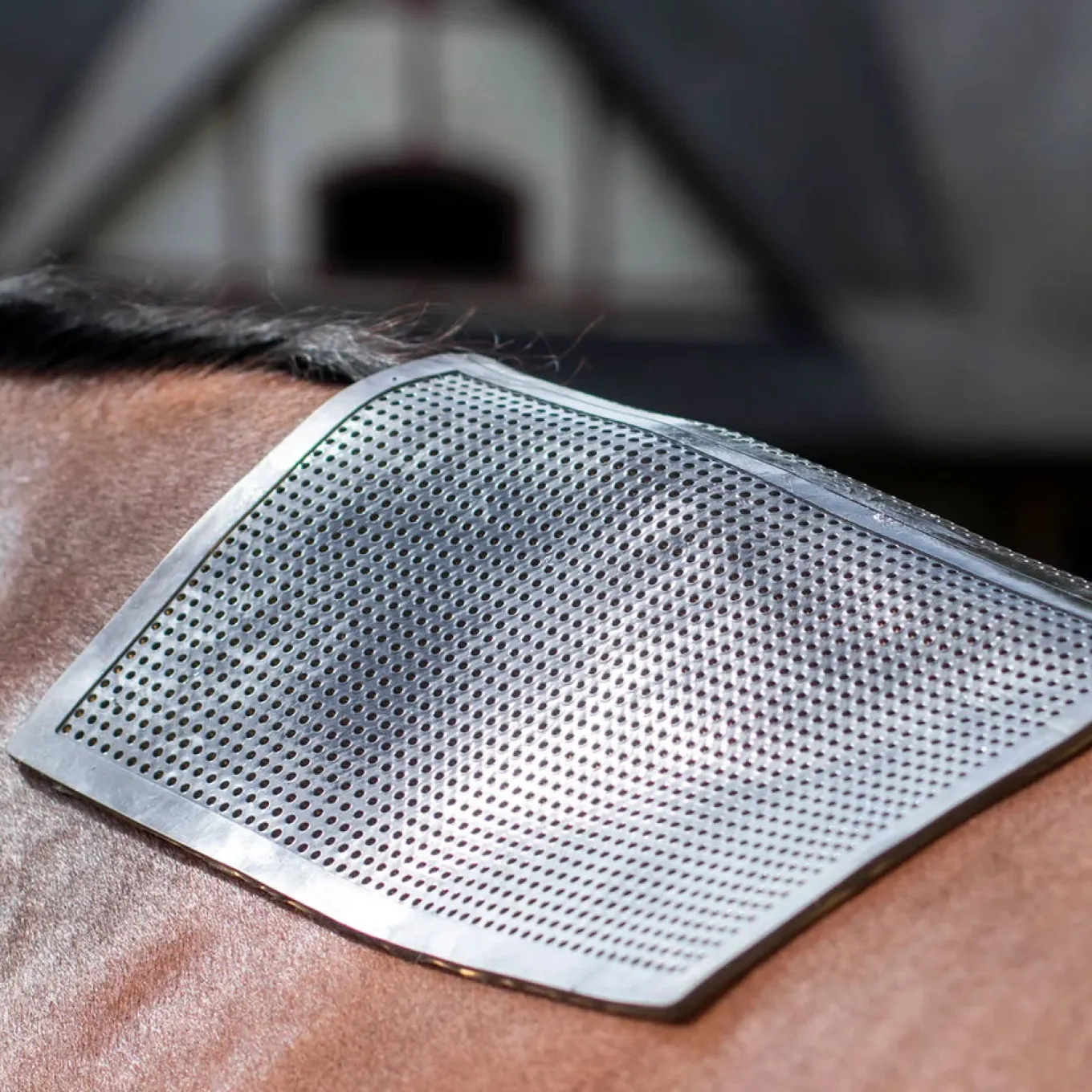 Ace Equestrian Pro4mance Non-Slip Pad