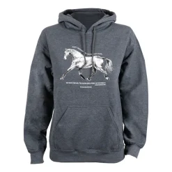 Aerion He Trots Hoodie