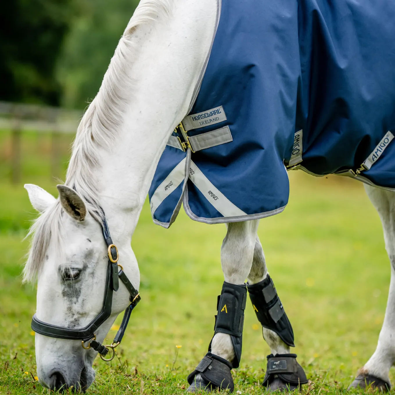Amigo Bravo 12 Original Turnout Blanket 100 g