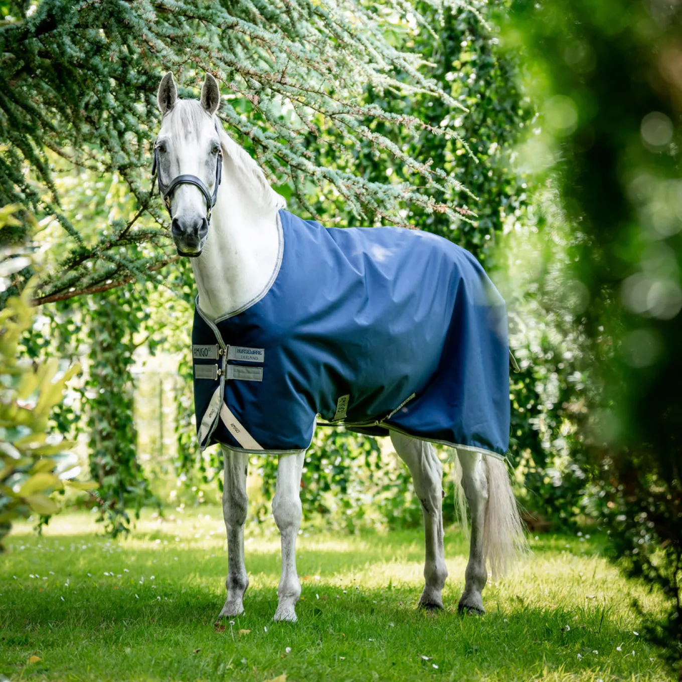 Amigo Bravo 12 Original Turnout Blanket 100 g