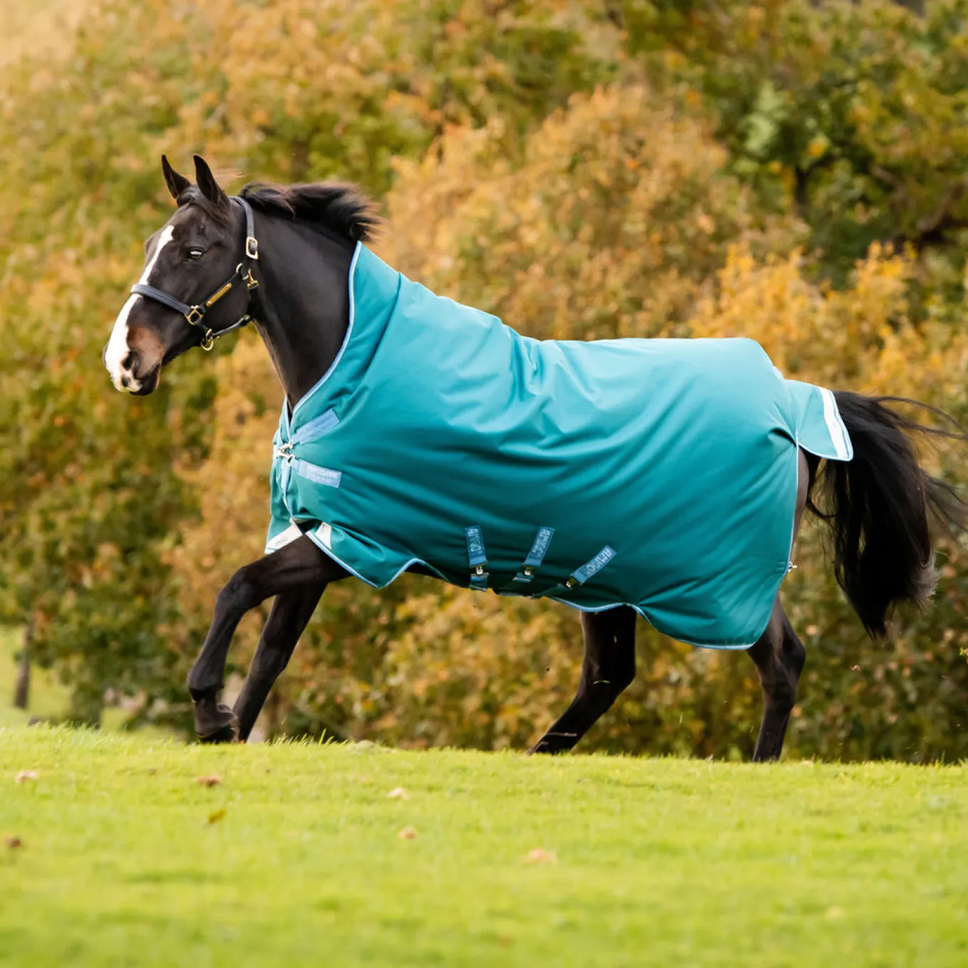 Amigo Bravo 12 Wug Heavy Turnout Blanket 400 g
