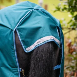 Amigo Bravo 12 Wug Heavy Turnout Blanket 400 g