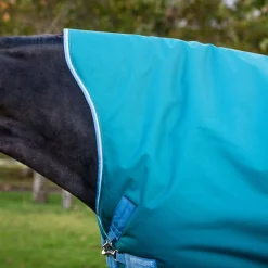 Amigo Bravo 12 Wug Heavy Turnout Blanket 400 g