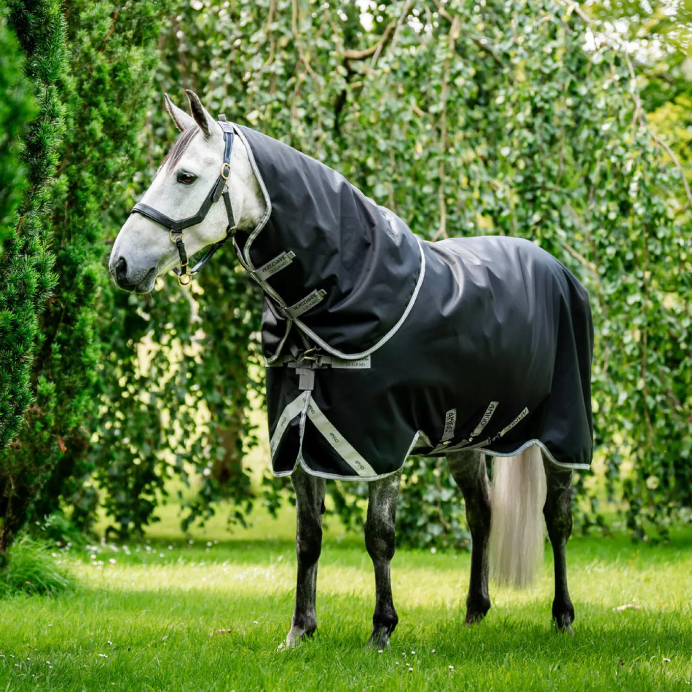 Amigo Plus 1200D Turnout Blanket 0 g