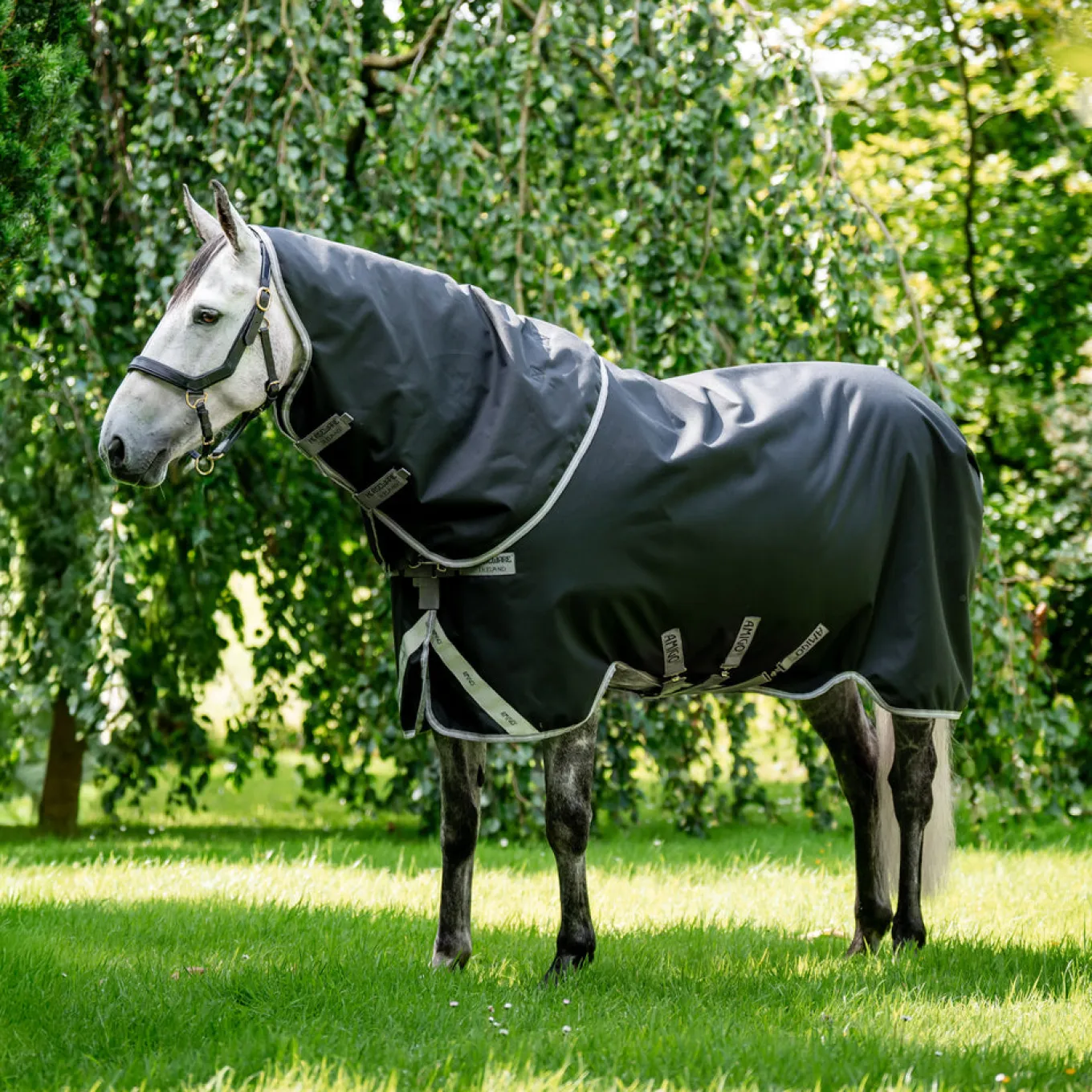 Amigo Plus 1200D Turnout Blanket 50 g