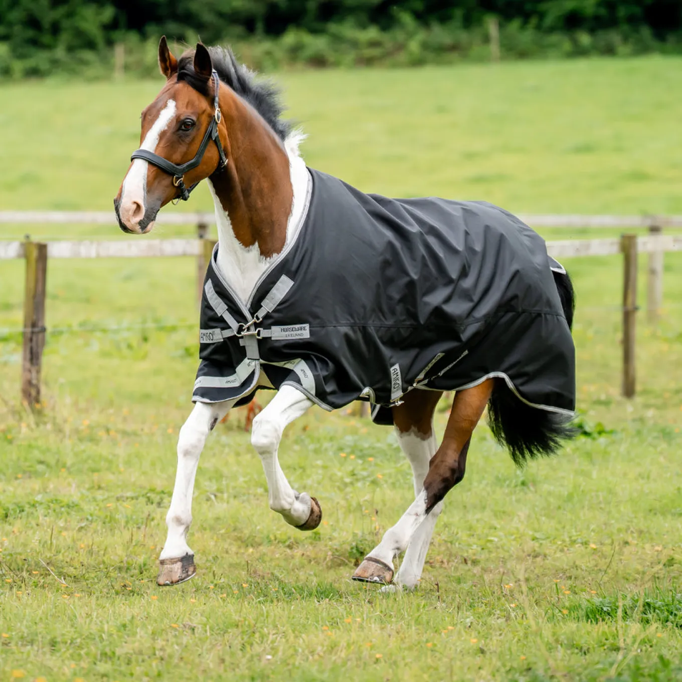 Amigo XL 1200D Turnout Blanket 150 g