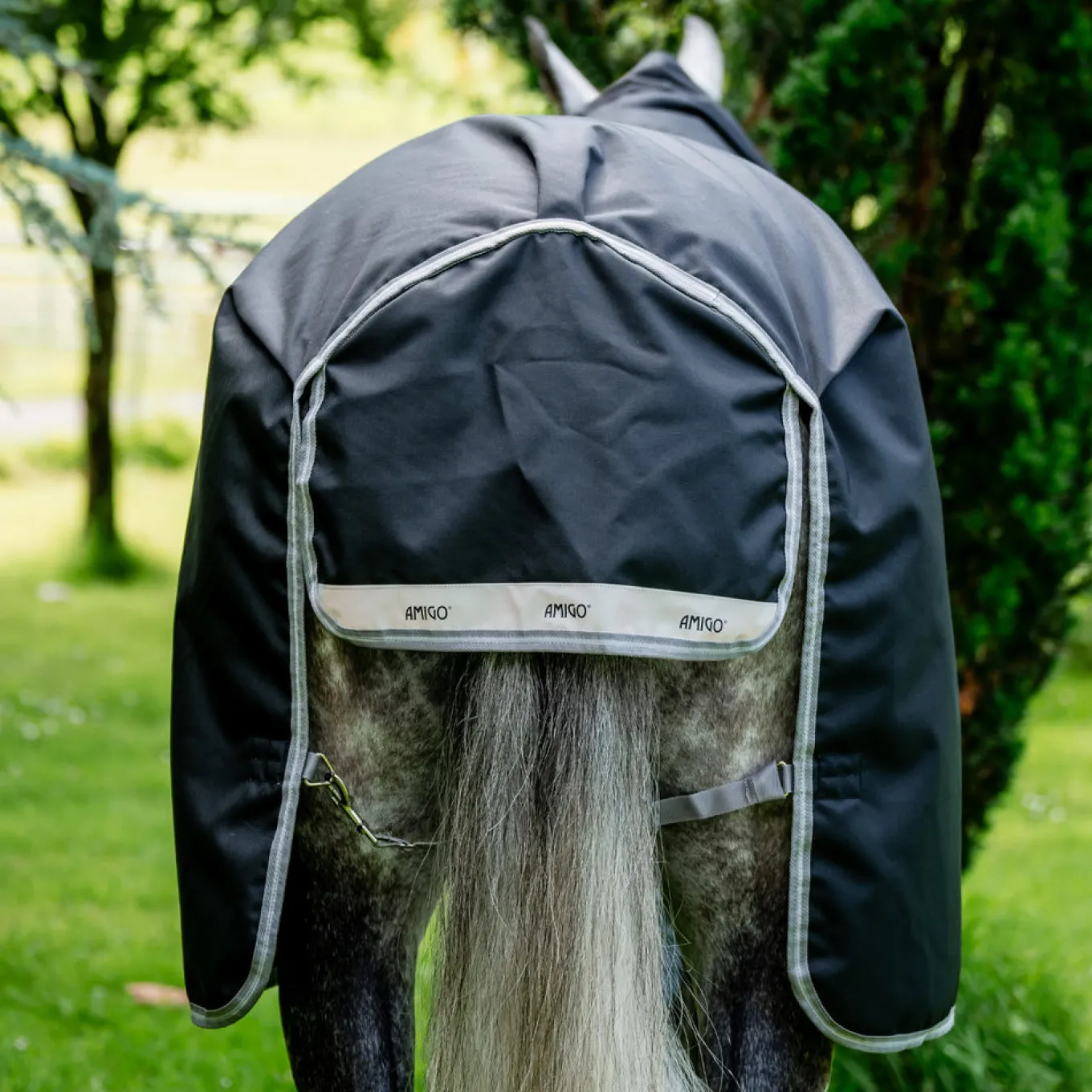 Amigo XL 1200D Turnout Blanket 250 g