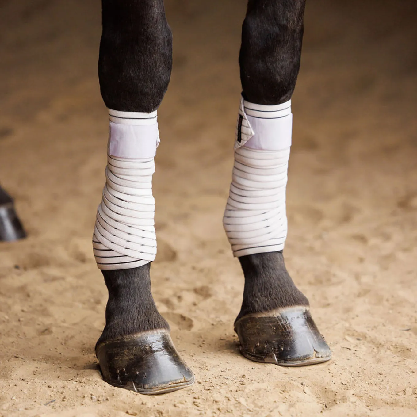 Anatomeq AirSupport Polo Wraps