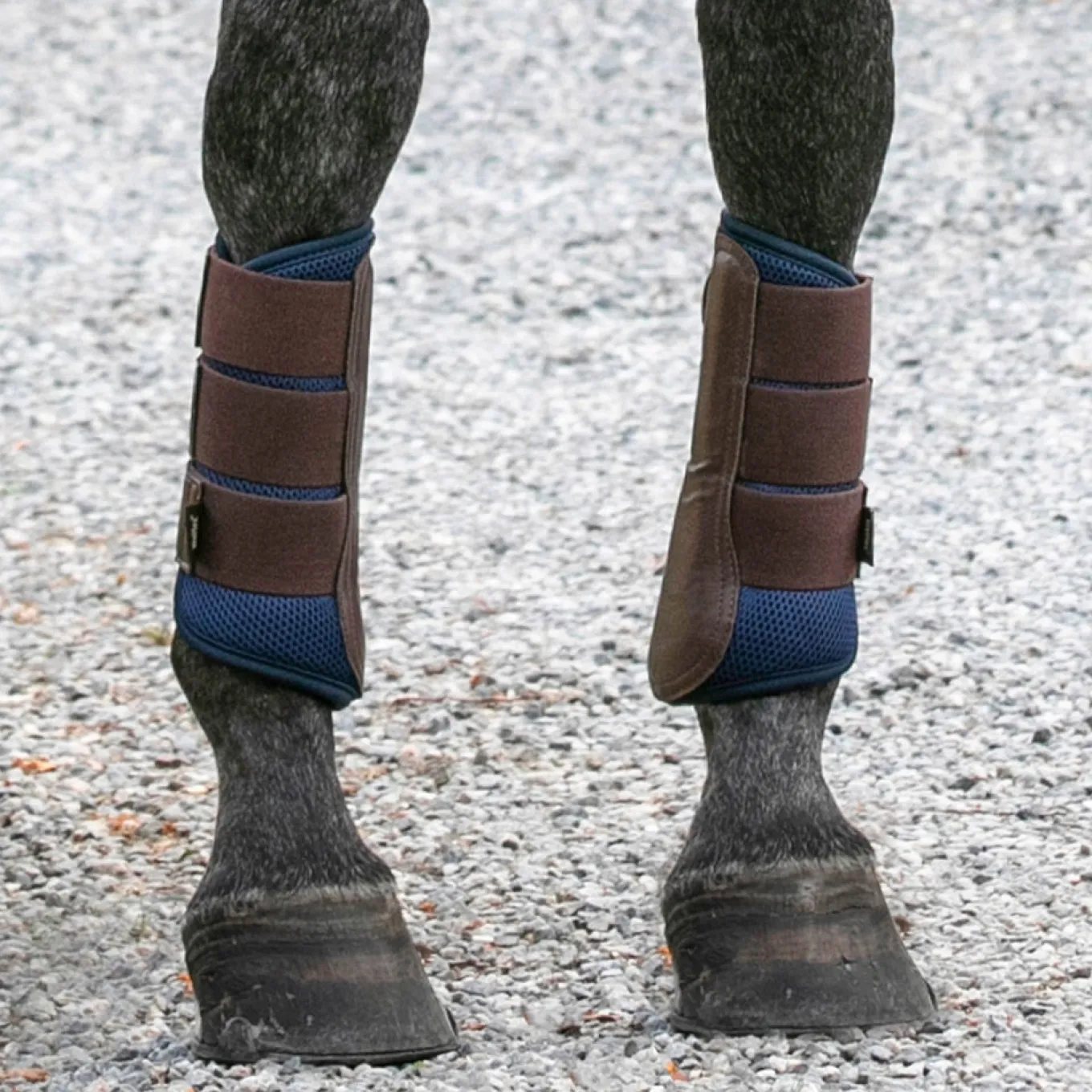Back on Track Airflow Brush Boots