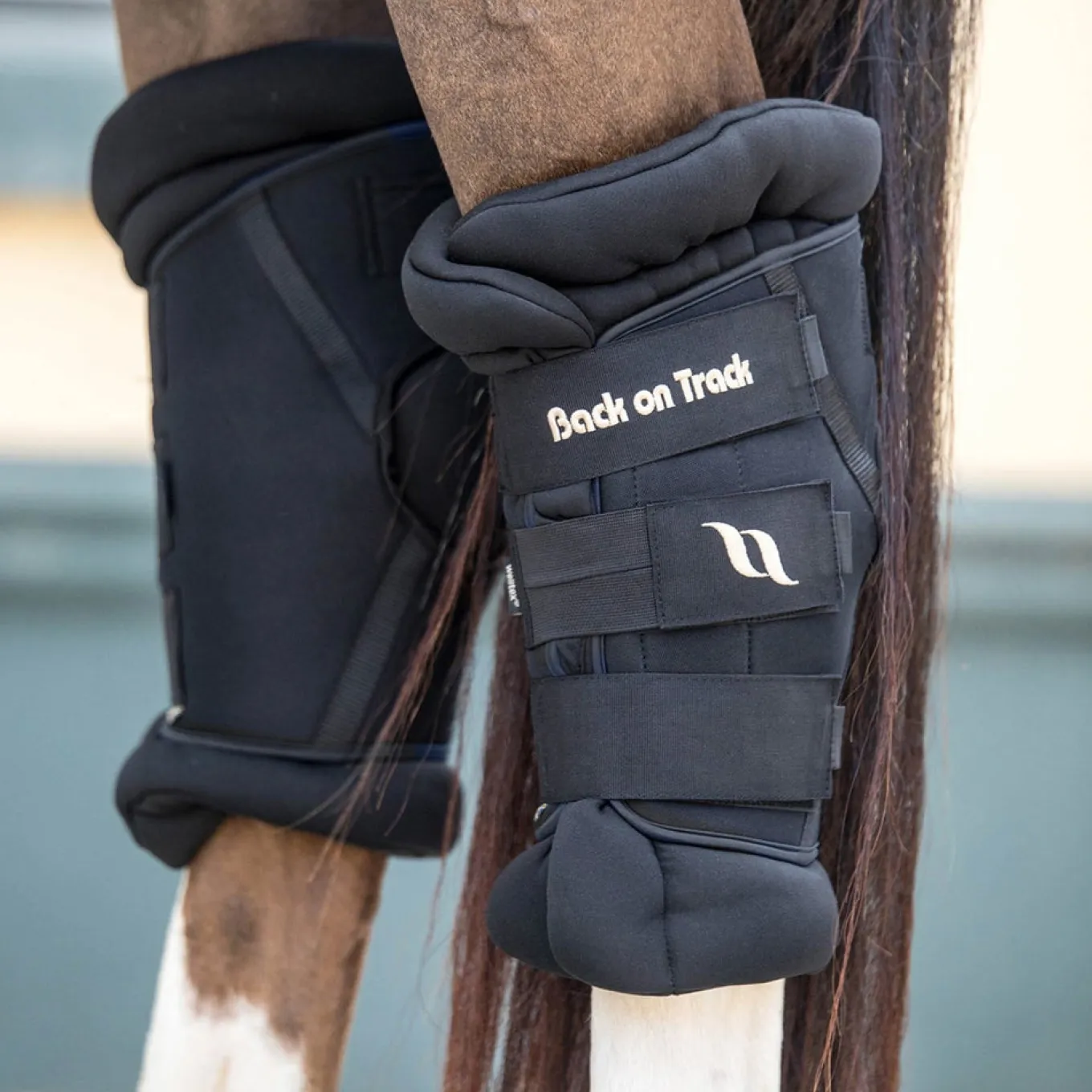 Back on Track Deluxe Royal Hock Boots
