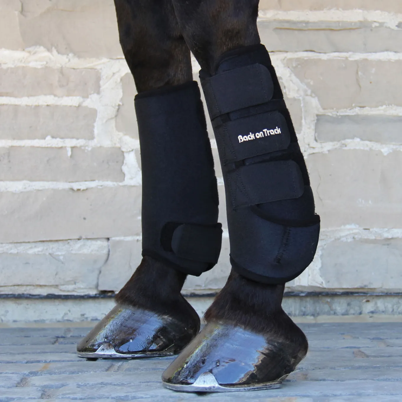 Back on Track Front Exercise Boots