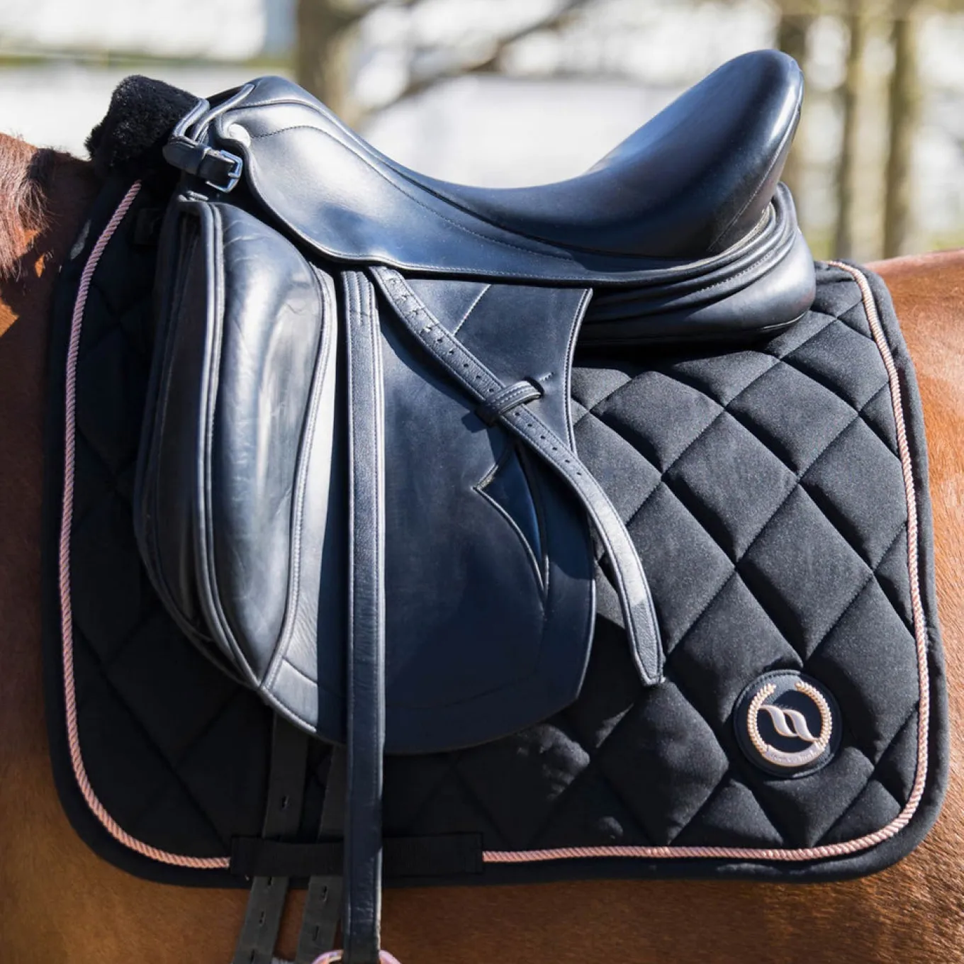 Back on Track Haze Collection Dressage Saddle Pad