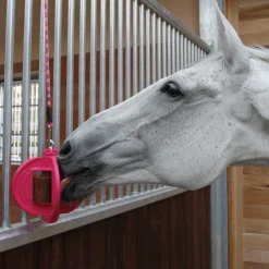 Bizzy Horse Bizzy Ball Horse Toy