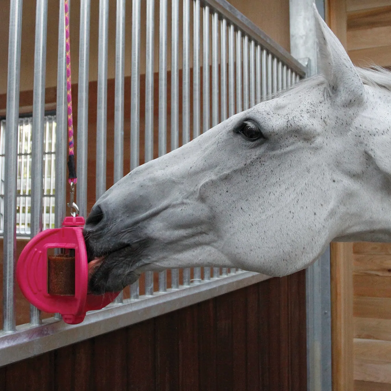 Bizzy Horse Bizzy Lick Apple Horse Treat 1 kg