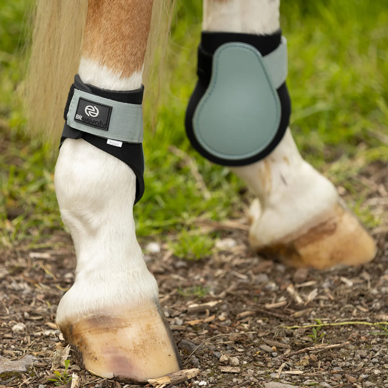 BR Eevolv Isaac Fetlock Boots