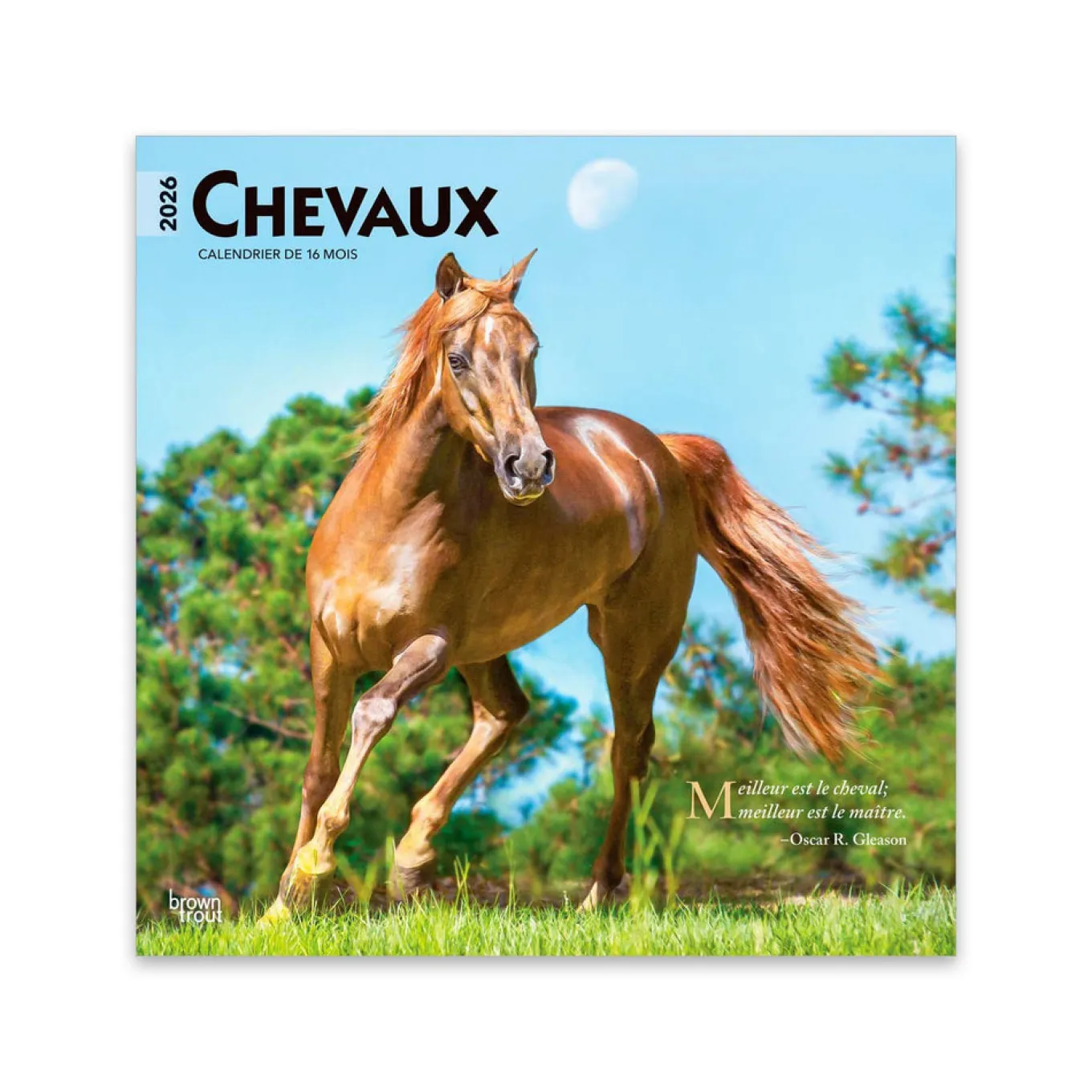 BrownTrout Chevaux 2026 Square Calendar