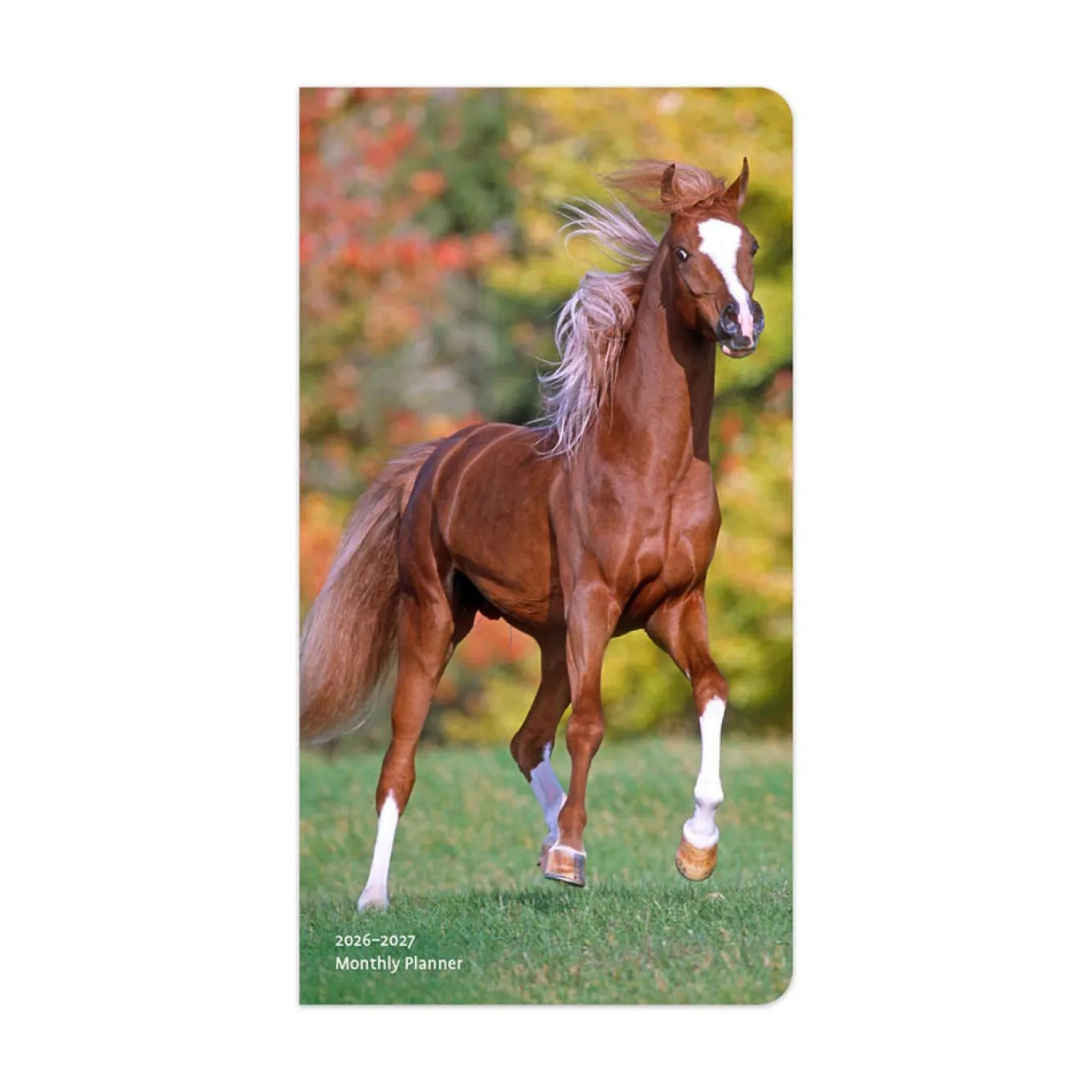 BrownTrout Horse Lovers 2026 Pocket Planner