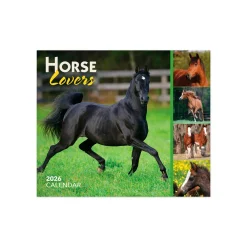 BrownTrout Horse Lovers 2026 Box Calendar
