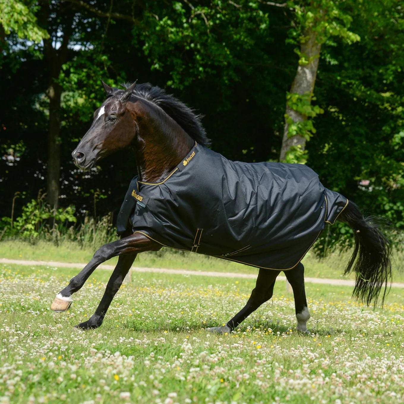Bucas Irish Light Turnout Blanket 50 g