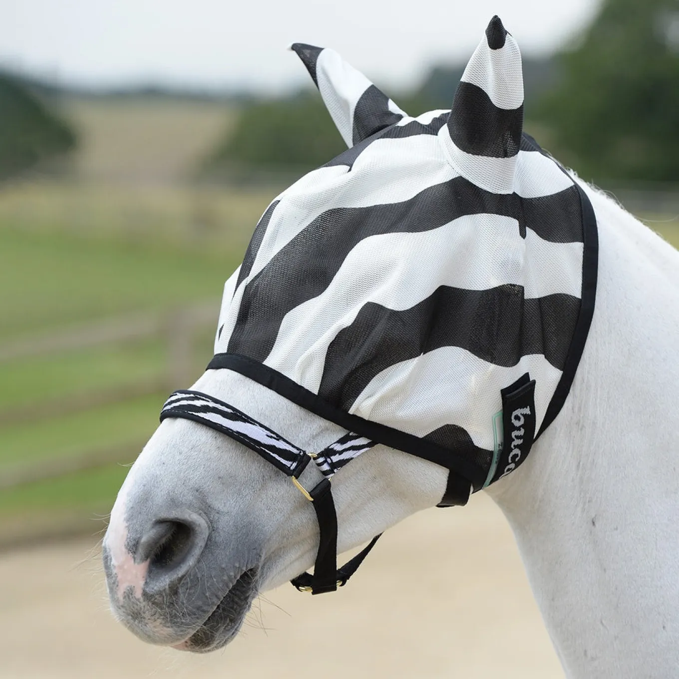 Bucas Zebra Regular Fly Mask