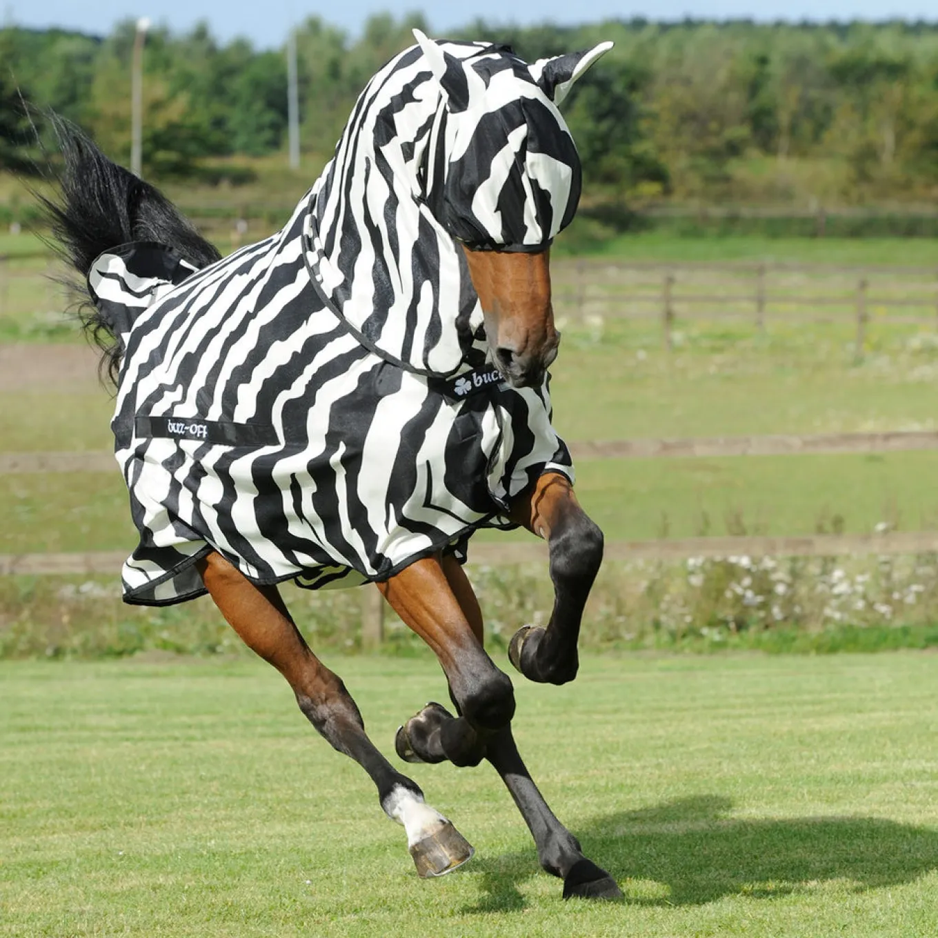 Bucas Zebra Regular Fly Mask