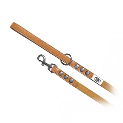 Buddy Belt Accent Leather & Nylon Leash 1.3 cm x 1.2 m
