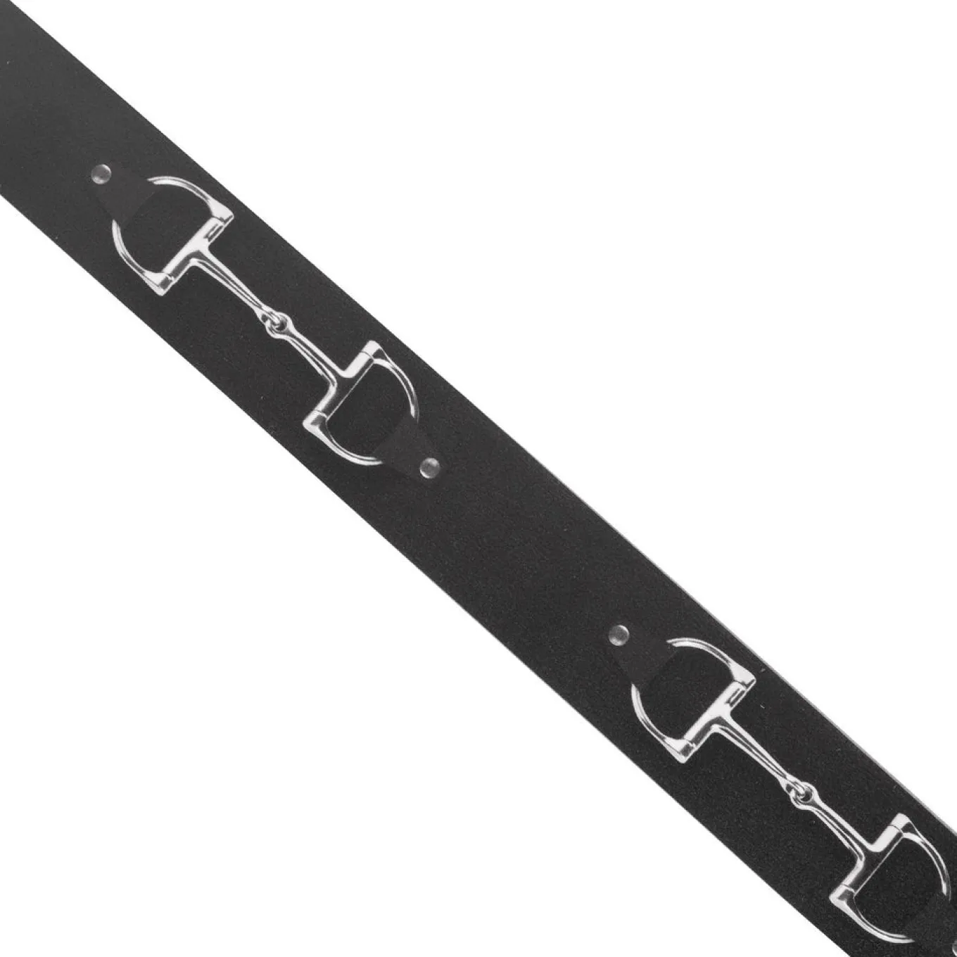 C4 Belt W/ Buckle