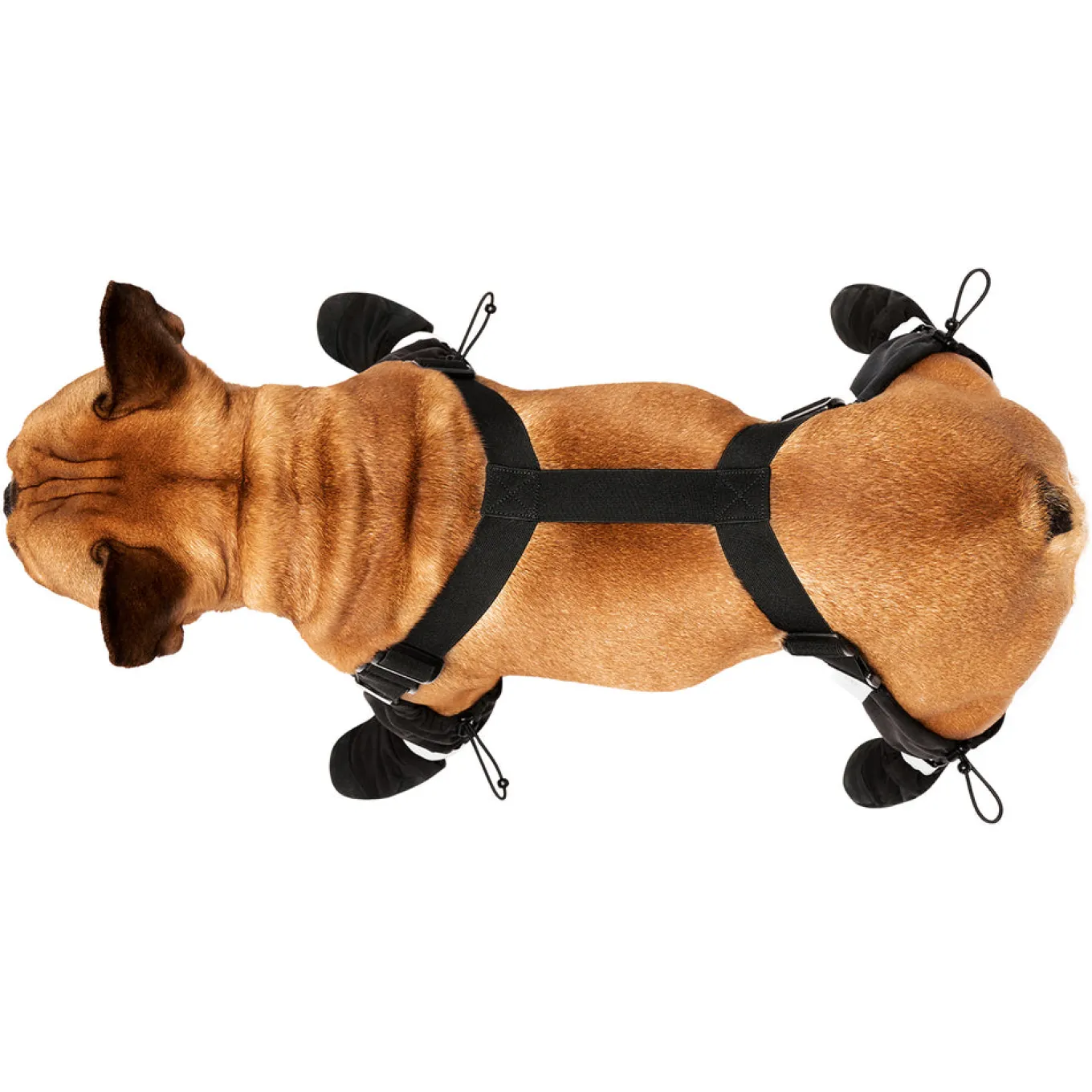 Canada Pooch Suspender Boots - Size 1 Short