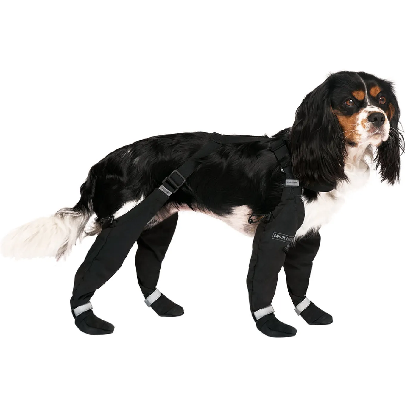 Canada Pooch Suspender Boots - Size 1 Short