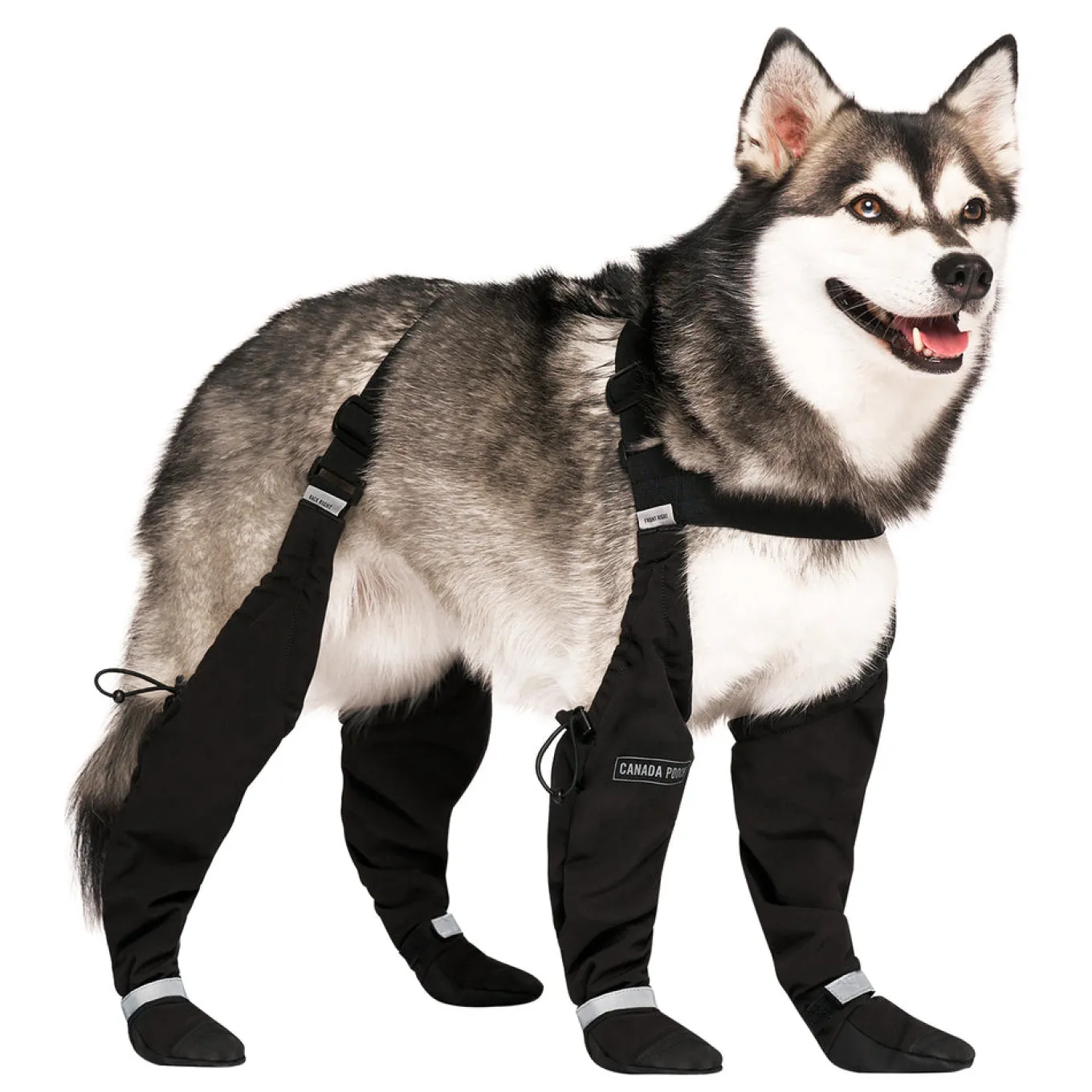 Canada Pooch Suspender Boots - Size 1