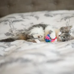 Cancor Innovations Crinkle Ball Cat Toy 6 cm