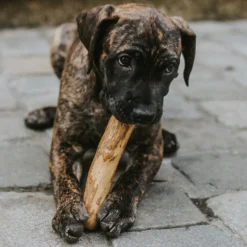 Canophera Wood Dog Chew