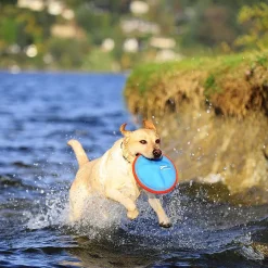 Chuckit! Flyers Paraflight Dog Toy