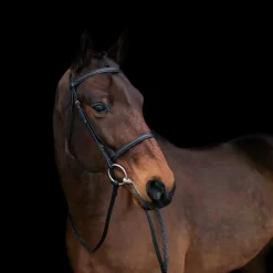 Connemara Bridle