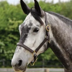 Connemara Leather Halter