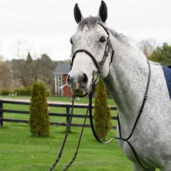 Connemara Standing Martingale