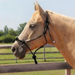 Copper Canyon Side Pull Rope Halter