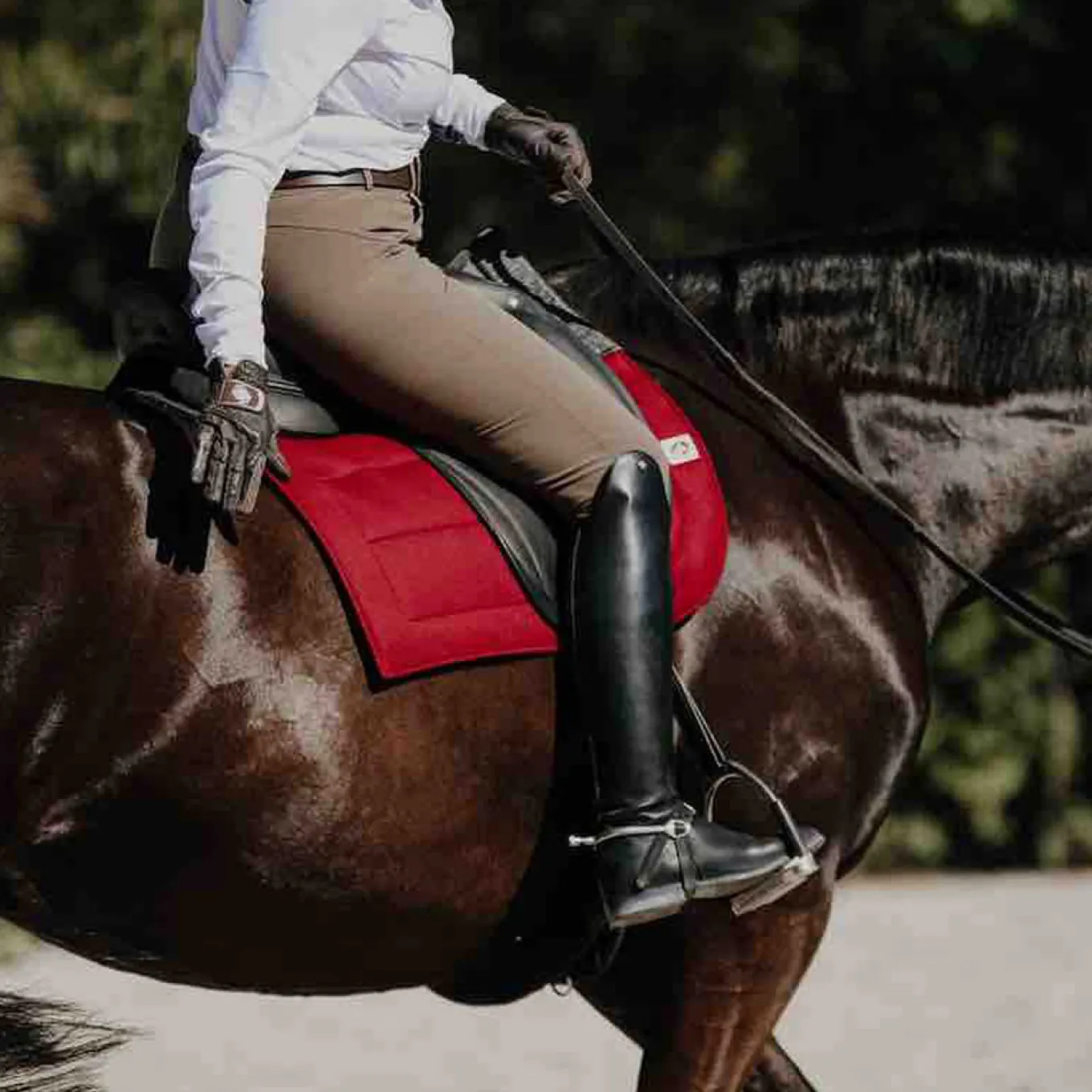 EcoGold Secure Dressage Saddle Pad