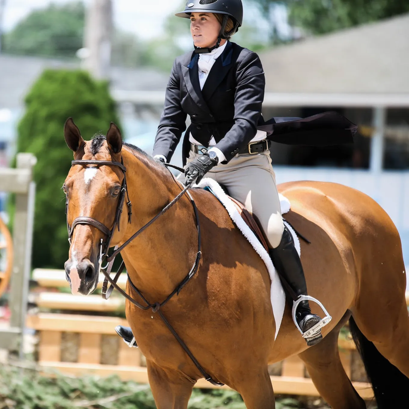 EcoGold Secure Hunter Saddle Pad