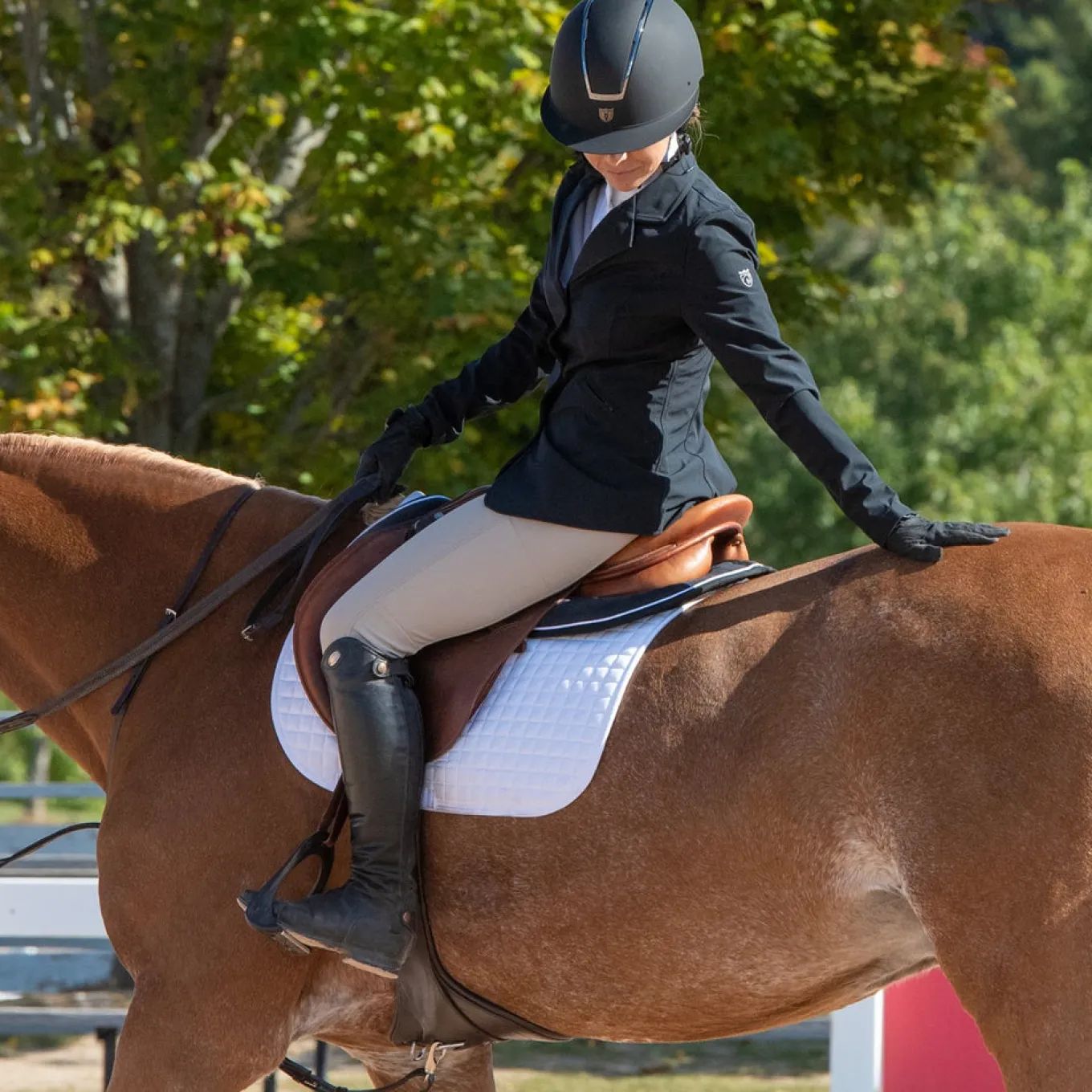 Elation Platinum Ellis Breech