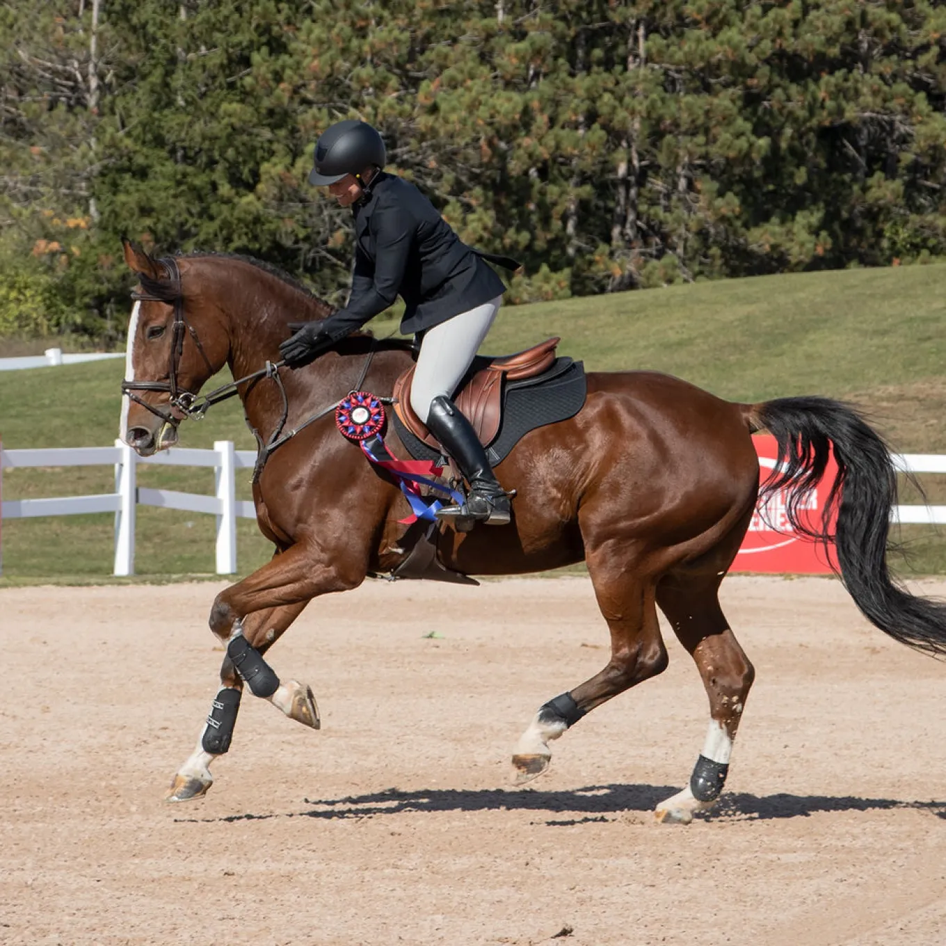 Elation Platinum Terano Half Grip Breech