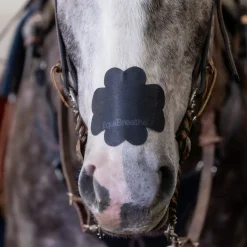 Equibreathe Nasal Patch