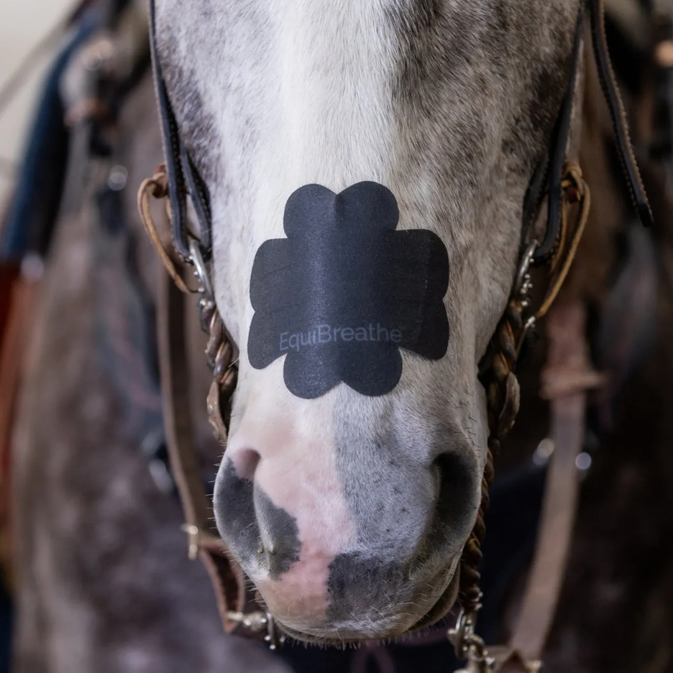 Equibreathe Nasal Patch