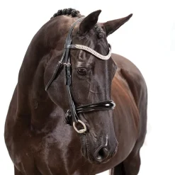 FFE Couture Patent Dressage Snaffle Bridle