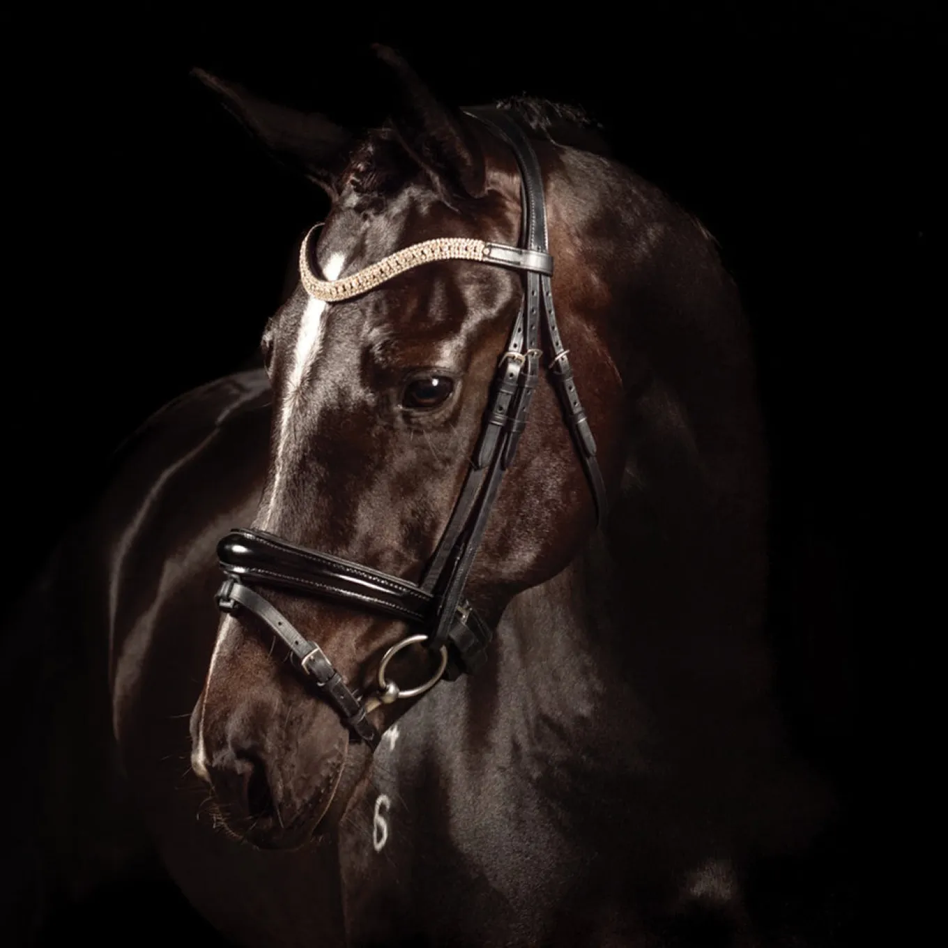 FFE Couture Patent Dressage Snaffle Bridle