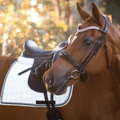 FFE Couture Patent Dressage Snaffle Bridle