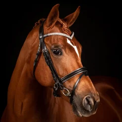 FFE Crystal V Silver Piping Dressage Snaffle Bridle