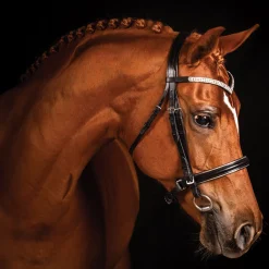 FFE Crystal V Silver Piping Dressage Snaffle Bridle