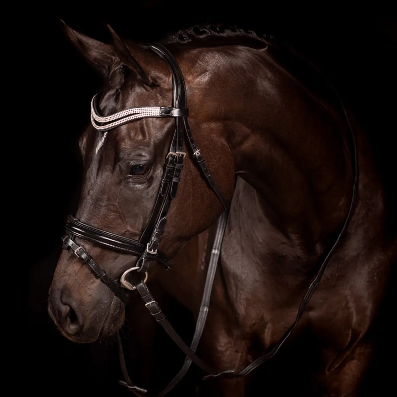FFE Split Wave Dressage Snaffle Bridle